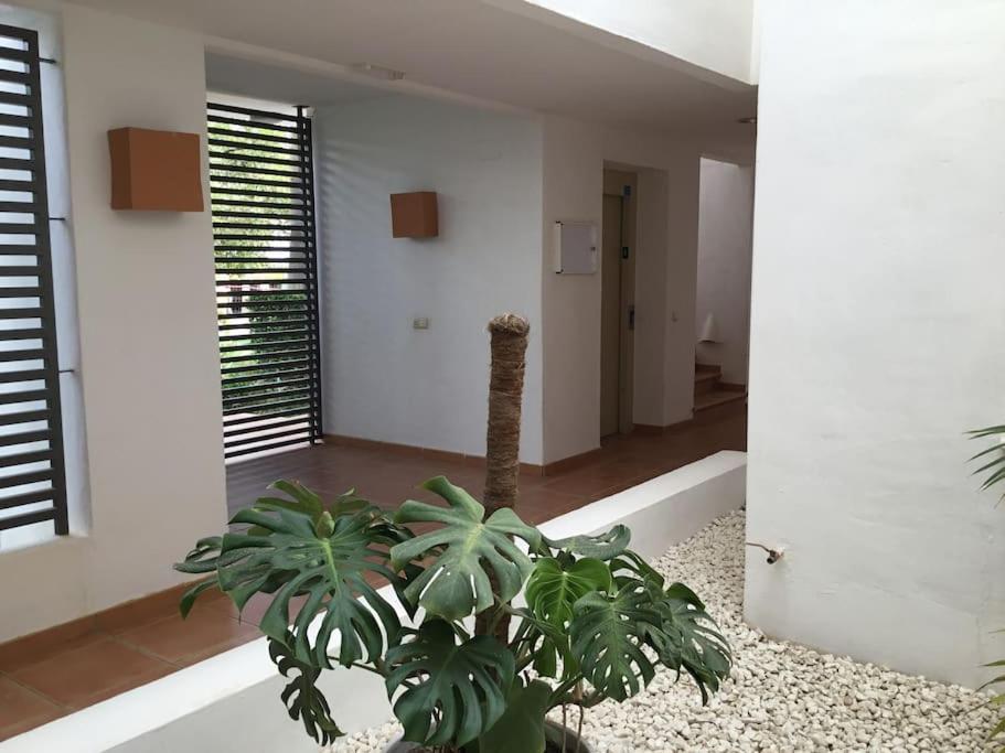 Alcazaba Blue Lagoon 3 Bedroom, Ground Floor Apartment เอสเตโปนา ภายนอก รูปภาพ